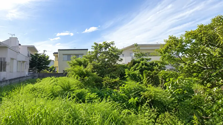 草が茂った空き地と、その奥に建つ住宅の外観イメージ。